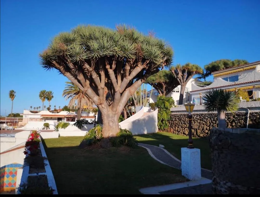 Appartement Pura Vida à Tacoronte Espagne